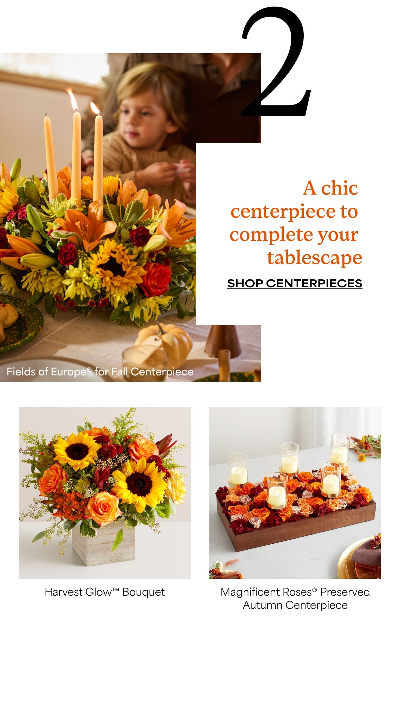 Two | A Chic Centerpiece to Complete Your Tablescape | Shop Centerpieces