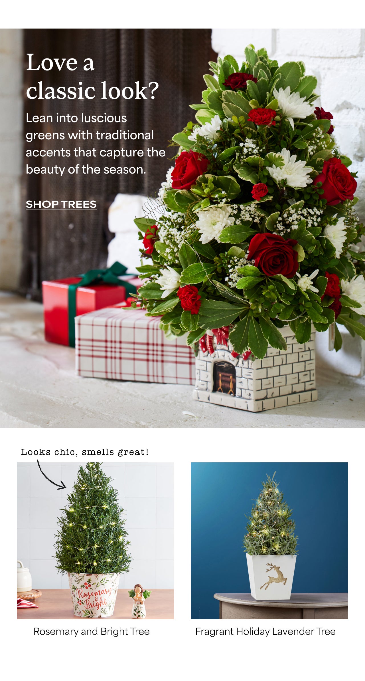 Love A Classic Look? | Shop Trees