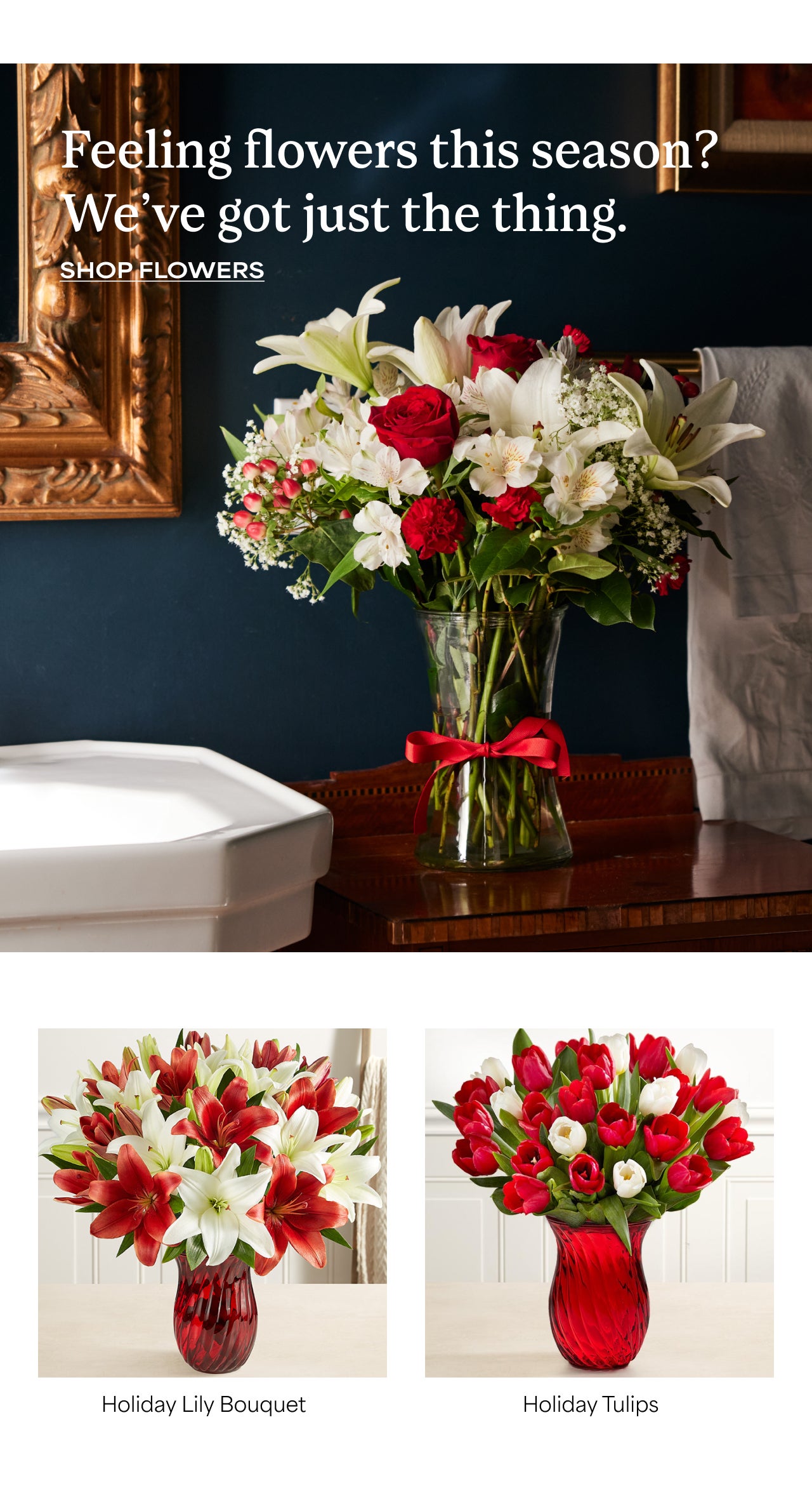 Feeling Flowers This Season? We've Got Just The Thing | Shop Flowers