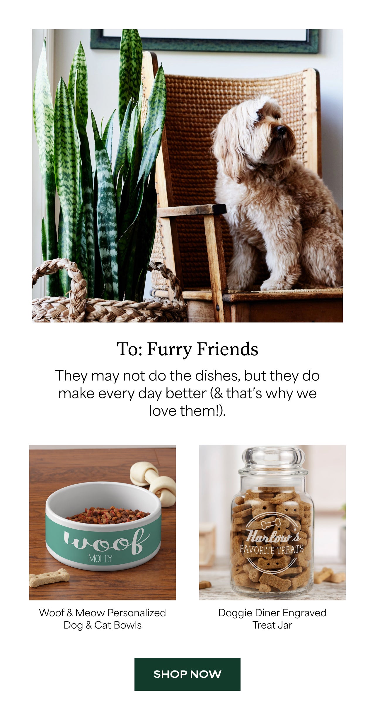 To Furry Friends | Shop Now