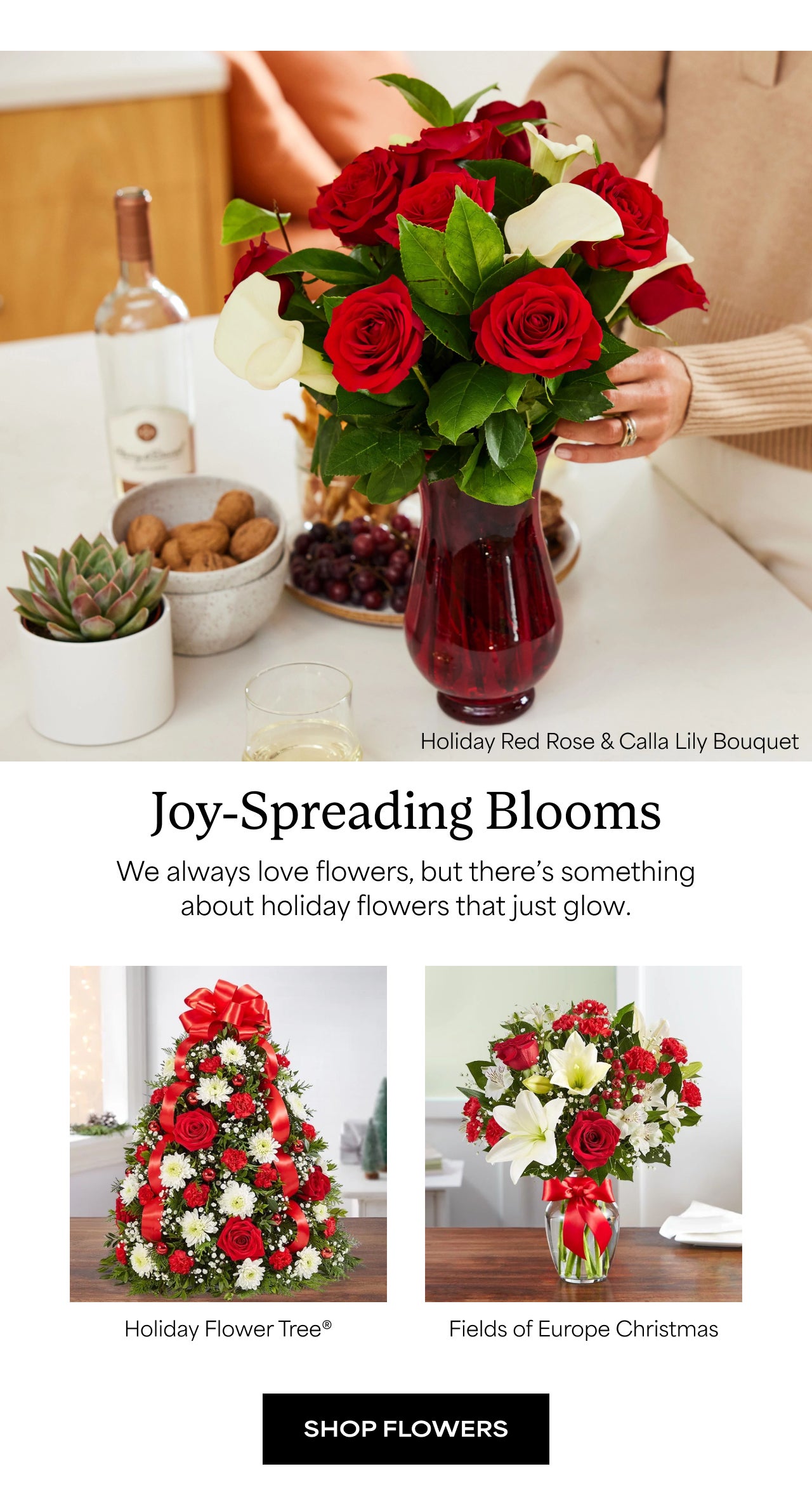 Joy-Spreading Blooms | Shop Flowers