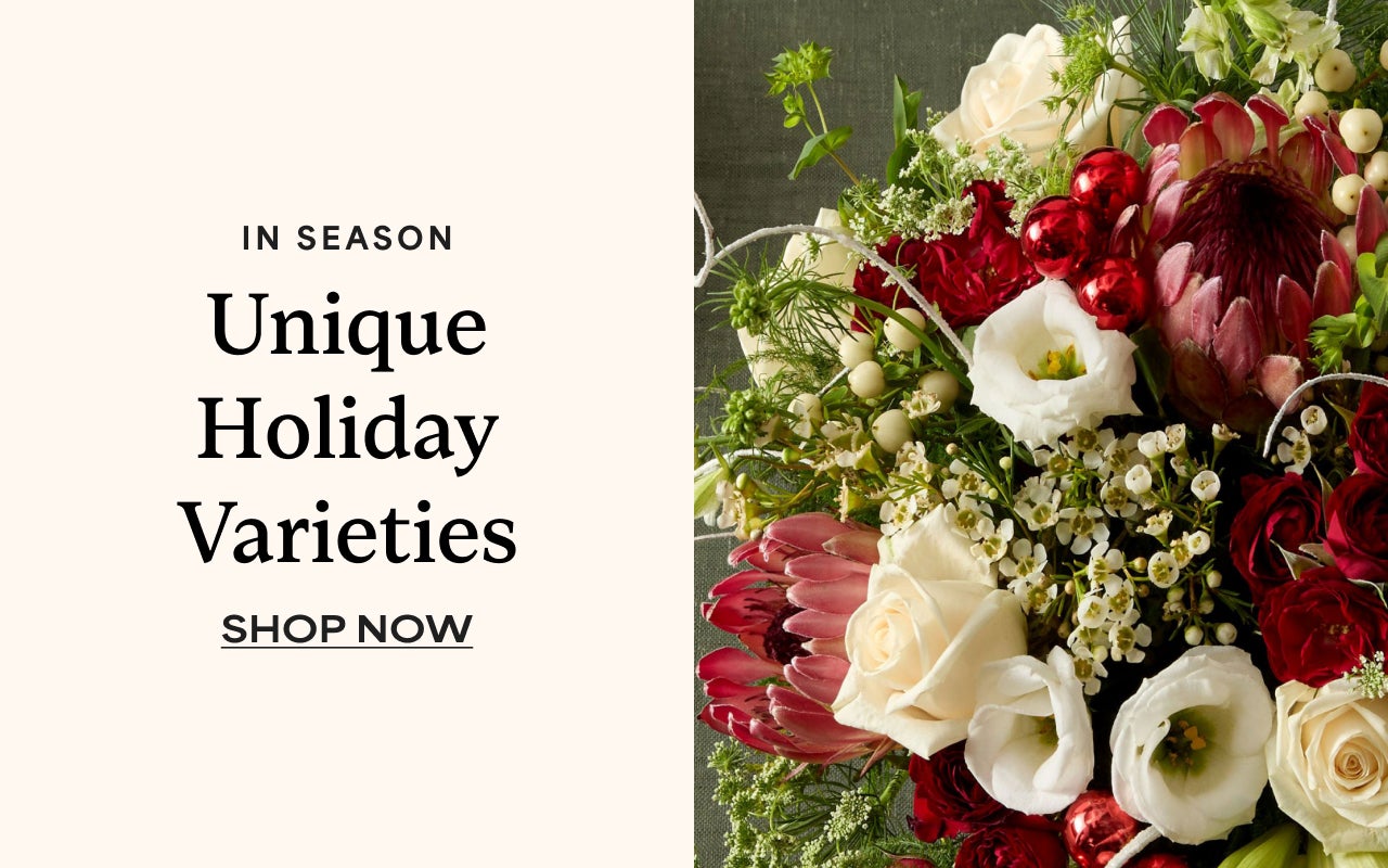 In Season | Unique Holiday Varieties | Shop Now