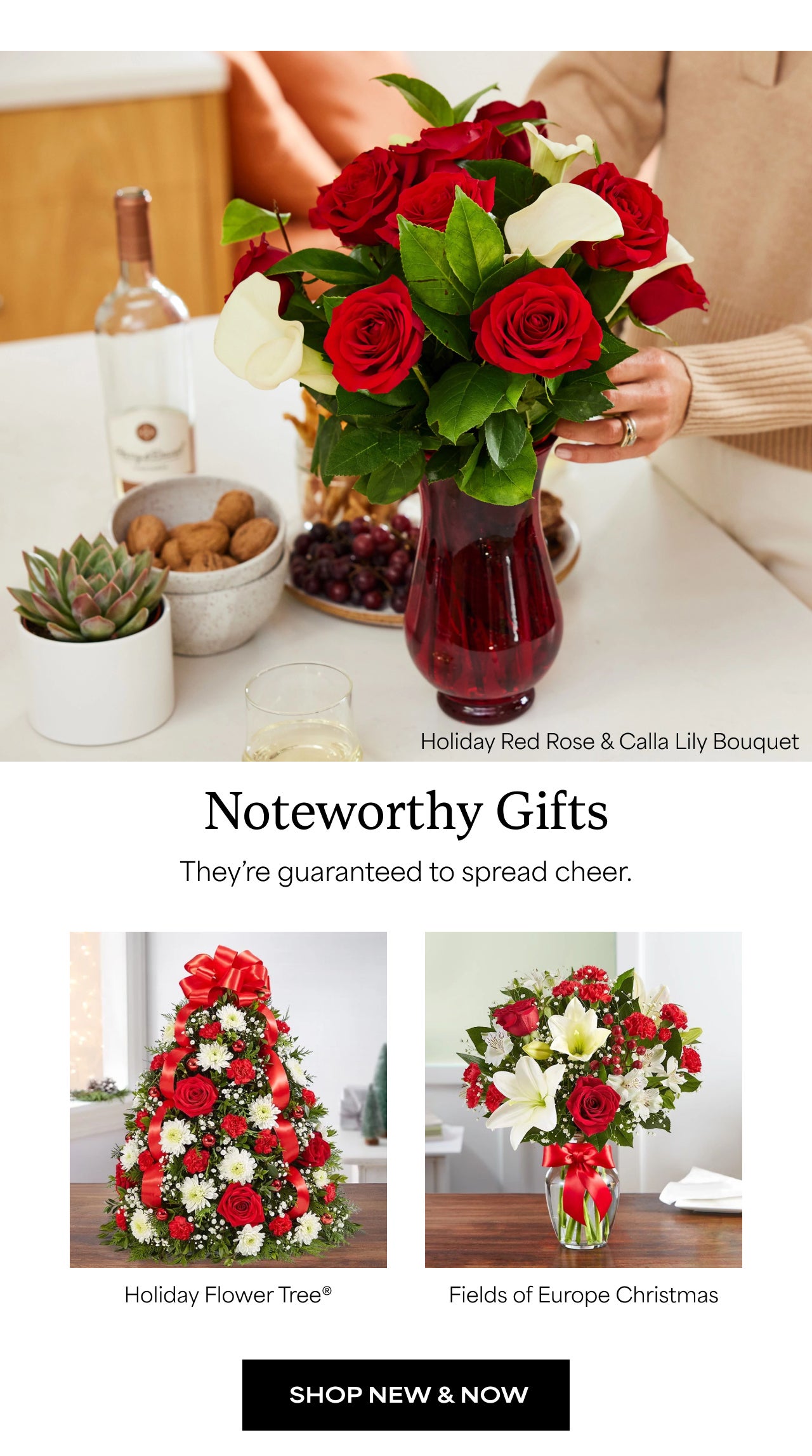 Noteworthy Gifts | Shop New and Now