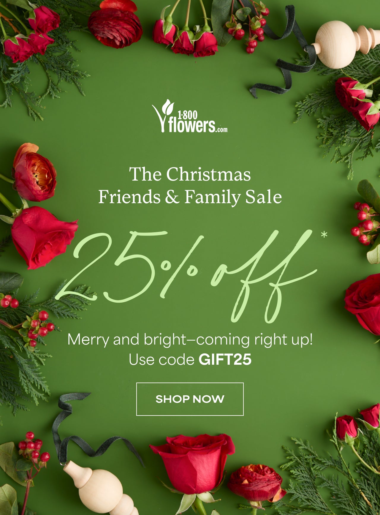 The Christmas Friends and Family Sale | 25% Off with Code GIFT25 | Shop Now