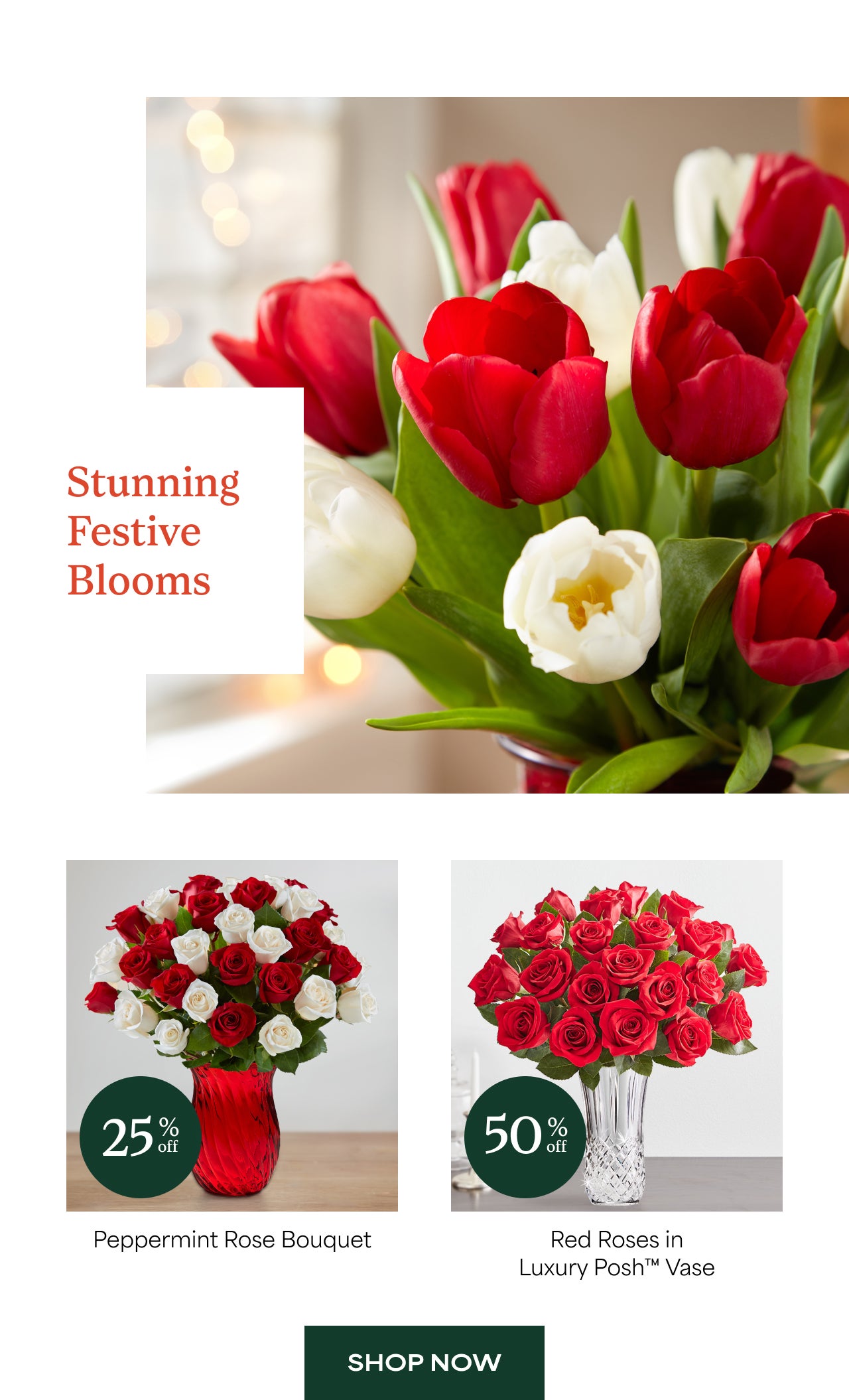 Stunning Seasonal Blooms | Shop Now