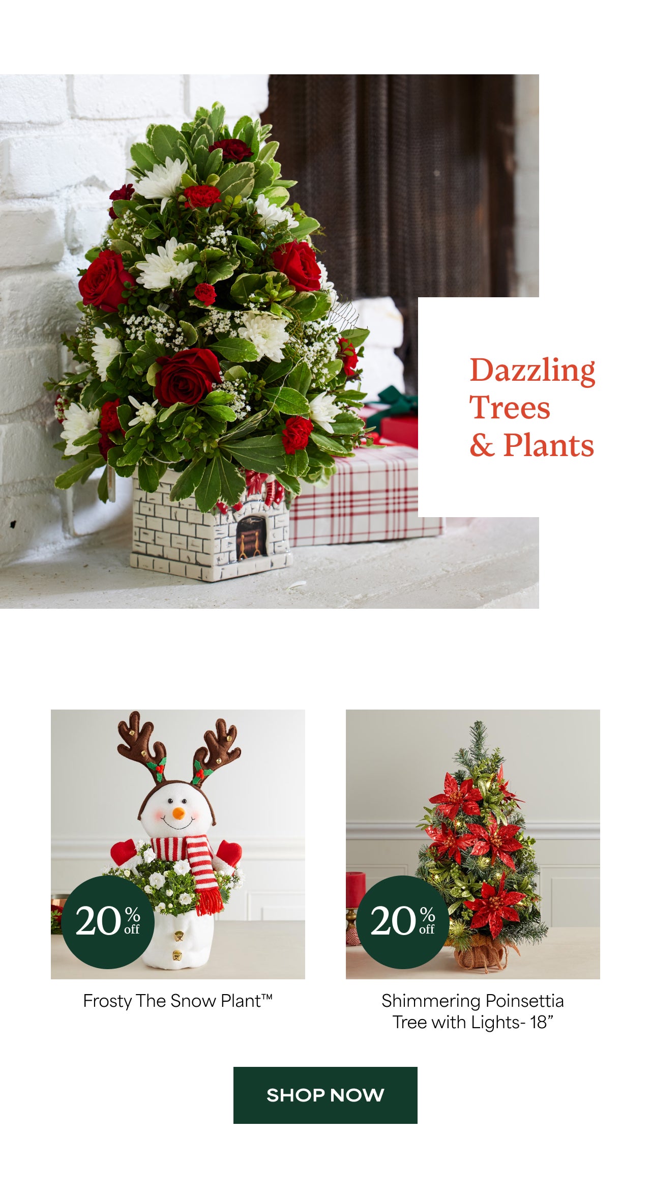 Dazzling Trees and Plants | Shop Now