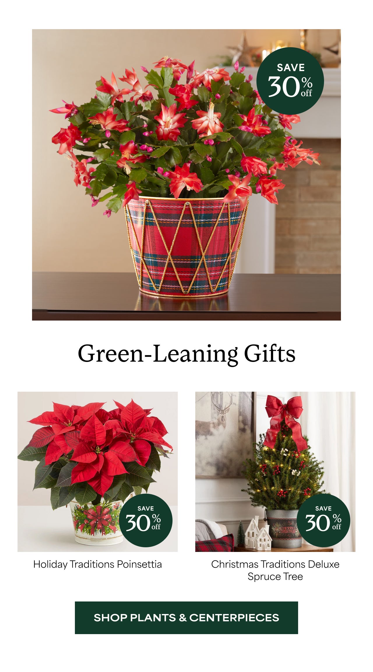 Plants? For the Holidays? Groundbreaking. Nature enthusiasts and trendsetters alike will love a green-leaning gift | Shop Plants and Centerpieces