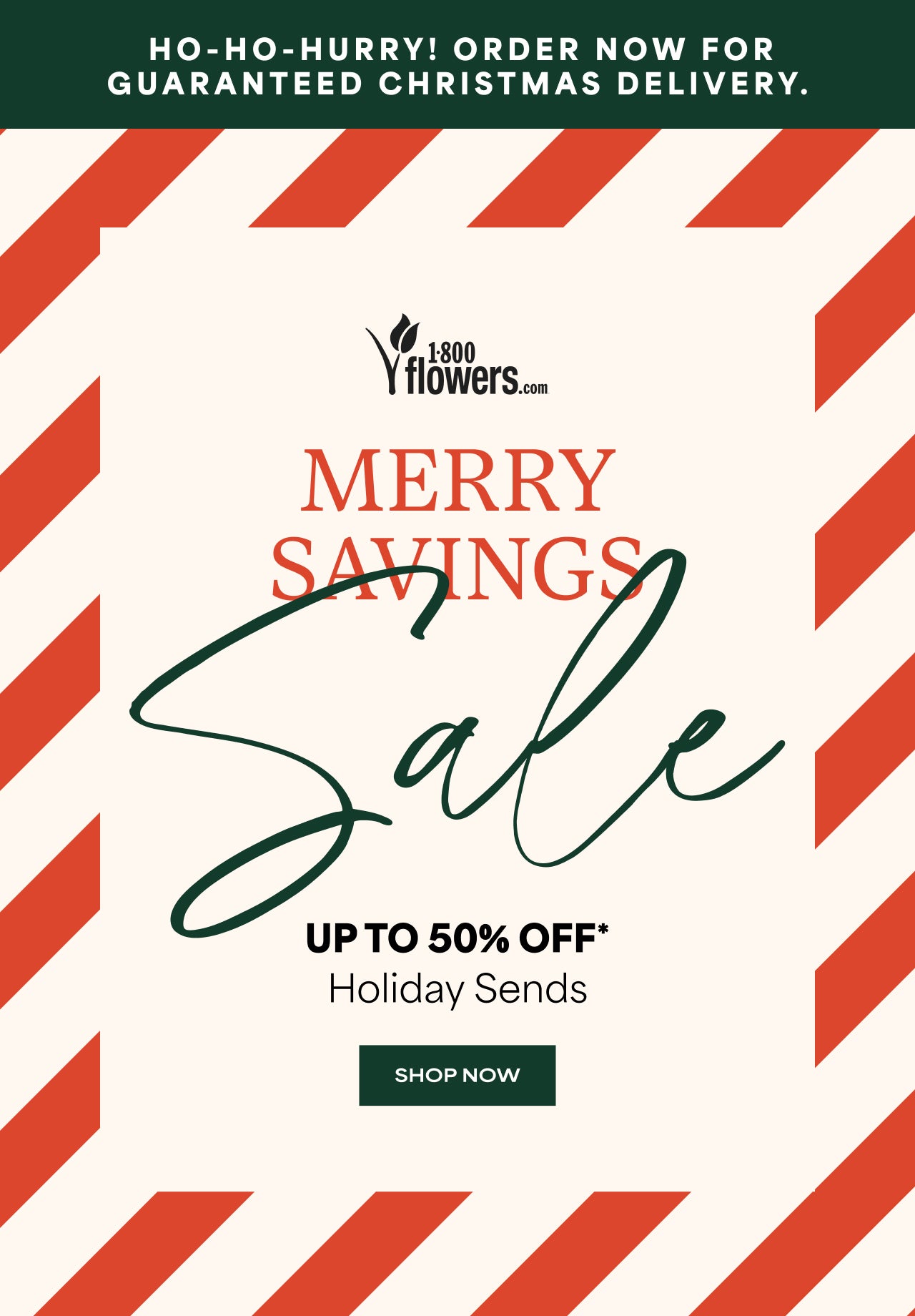 Merry Savings Sale | Up to 50% Off Holiday Sends | Shop Now