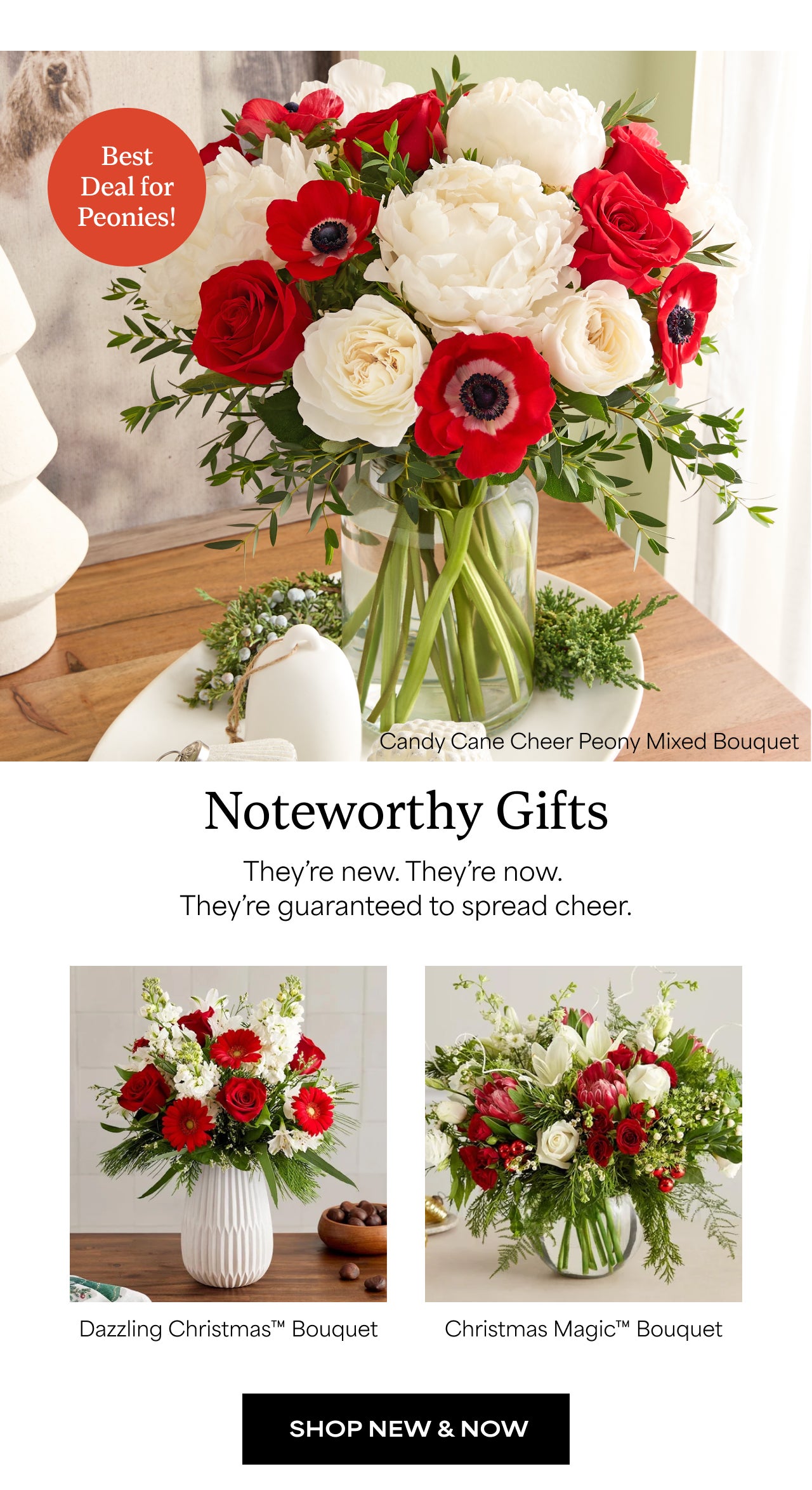 Noteworthy Gifts | Shop New and Now