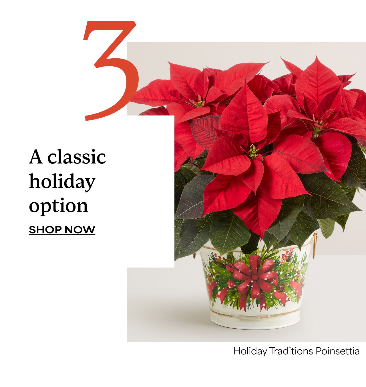 Three | A Classic Holiday Option | Shop Now