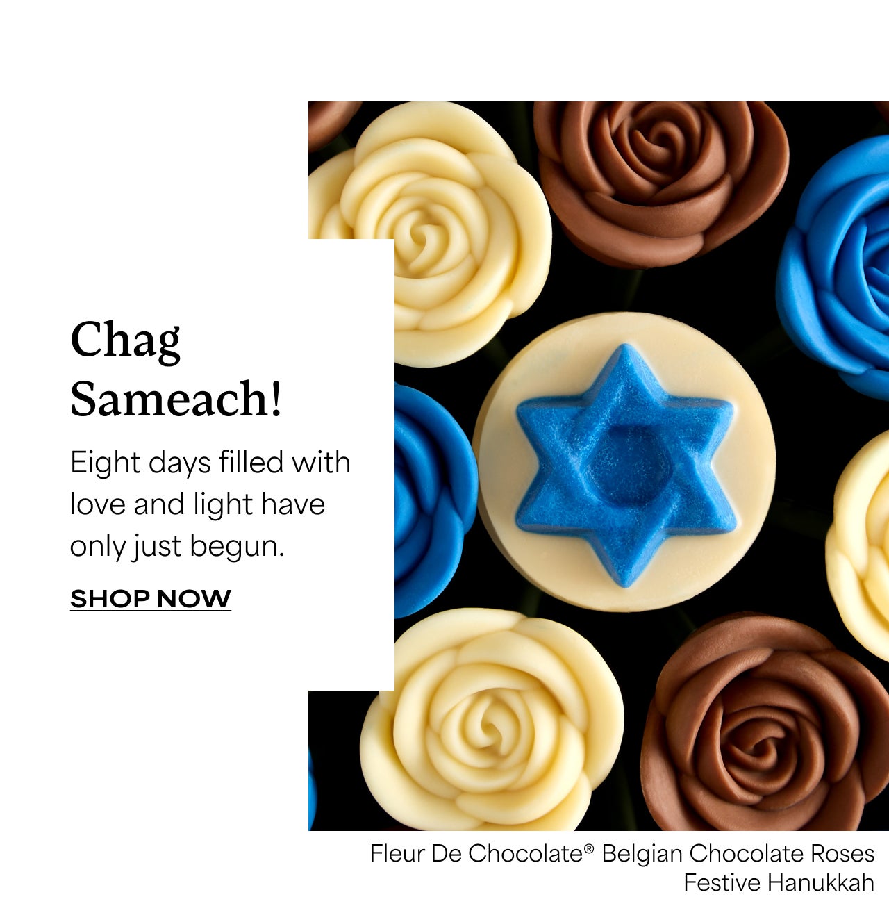 Chag Sameach | Eight days filled with love and light have only just begun | Shop Now