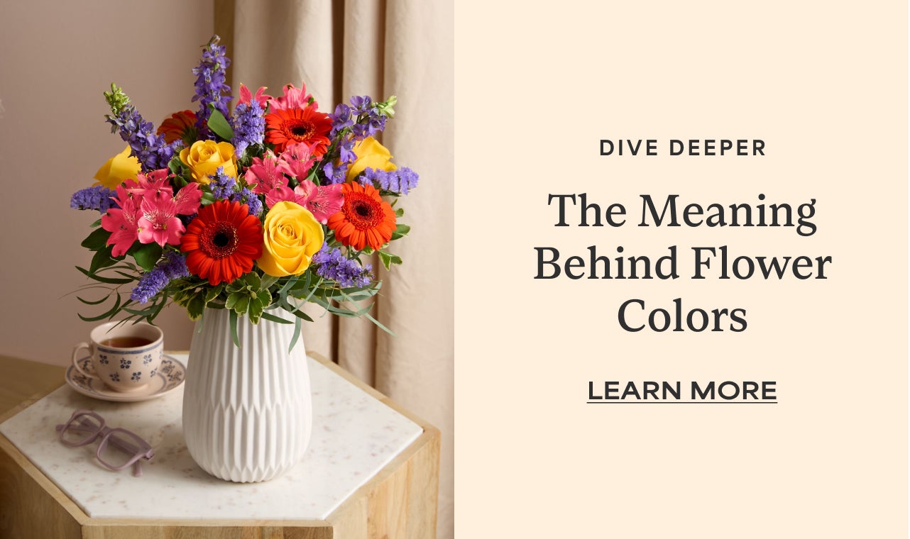 Dive Deeper | The Meaning Behind Flower Colors | Learn More