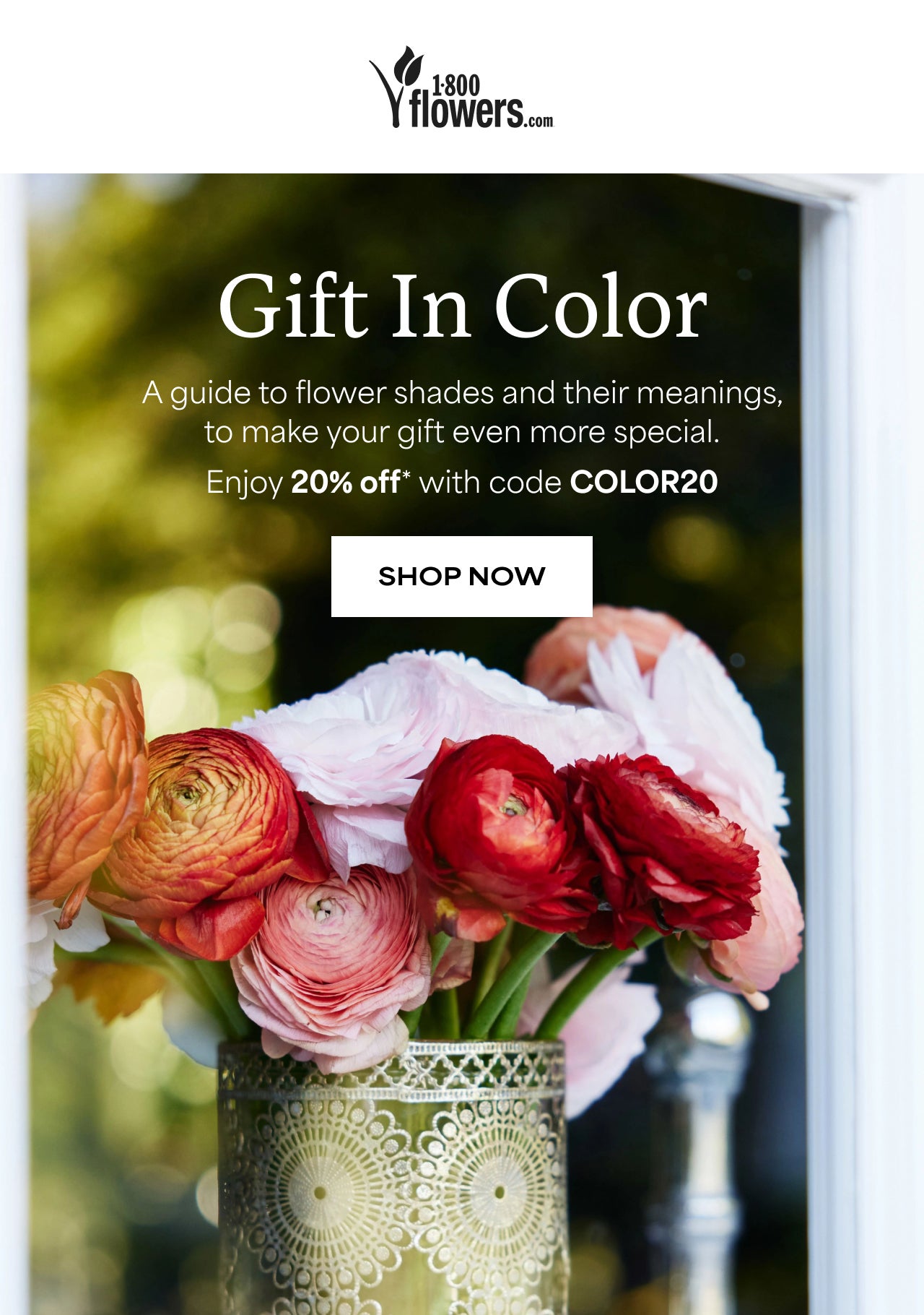 Gift in Color | Enjoy 20% Off with code COLOR20 | Shop Now