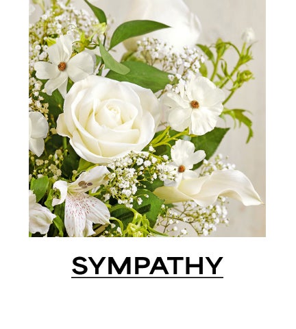 SYMPATHY