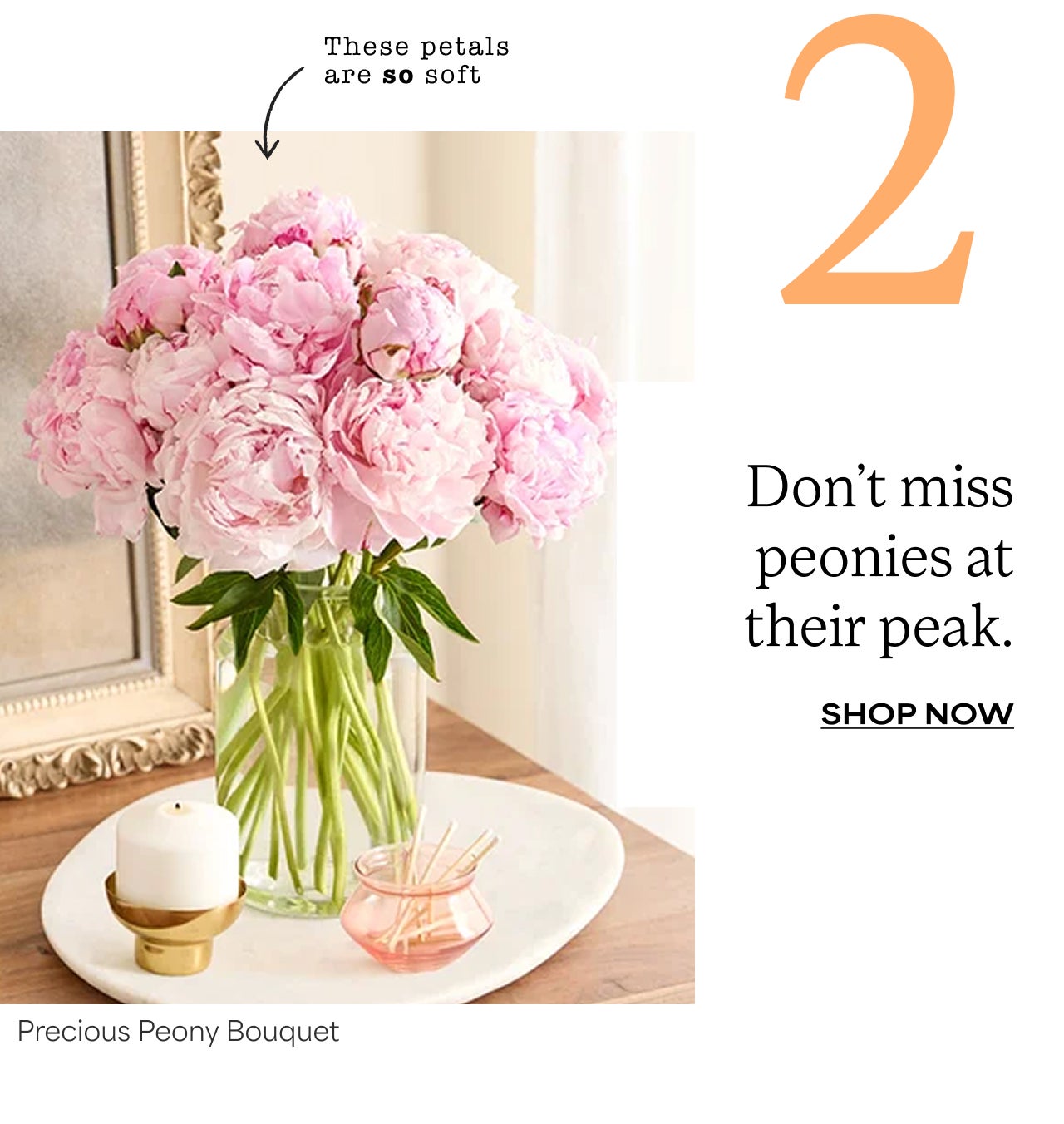 Two | Don't miss peonies at their peak. | Shop Precious Peony Bouquet
