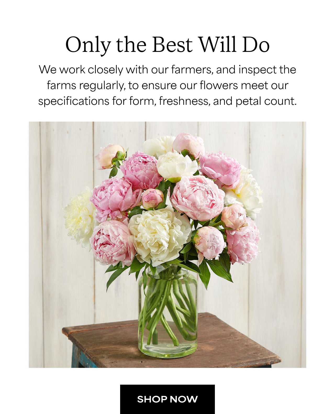Only the best will do | Shop Now