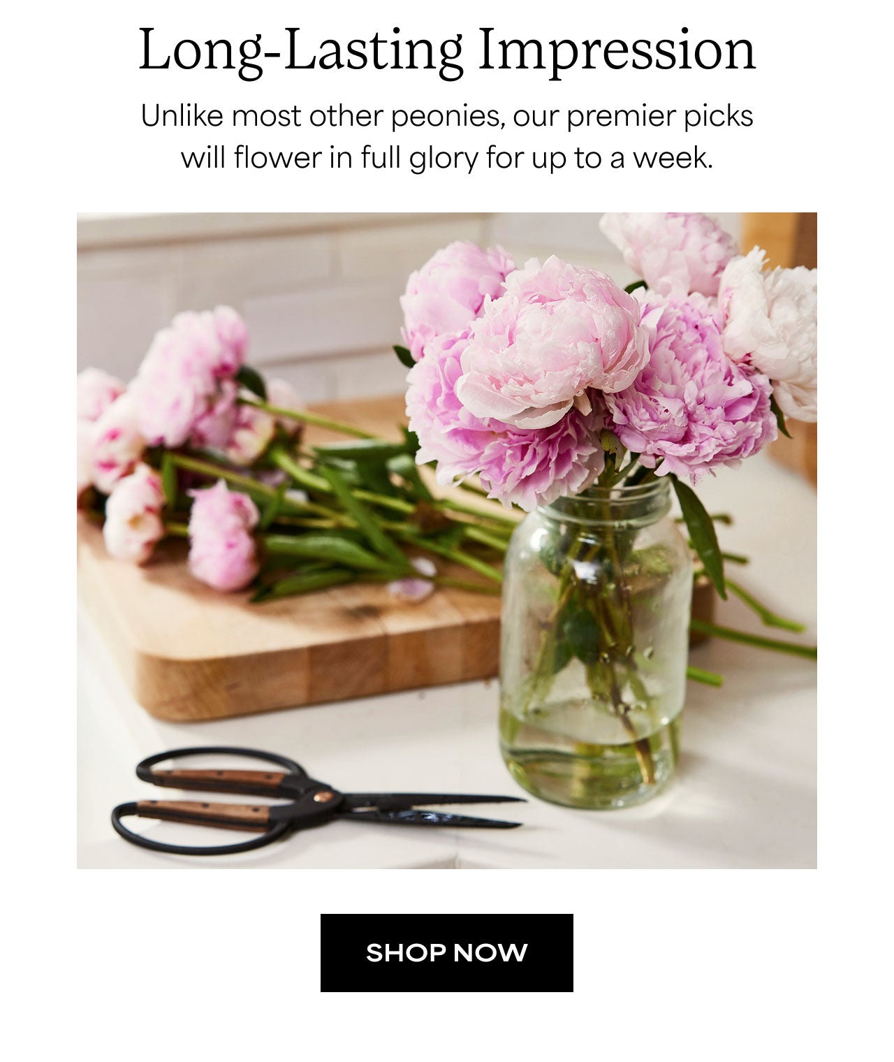 Long-Lasting Impressions | Shop Now