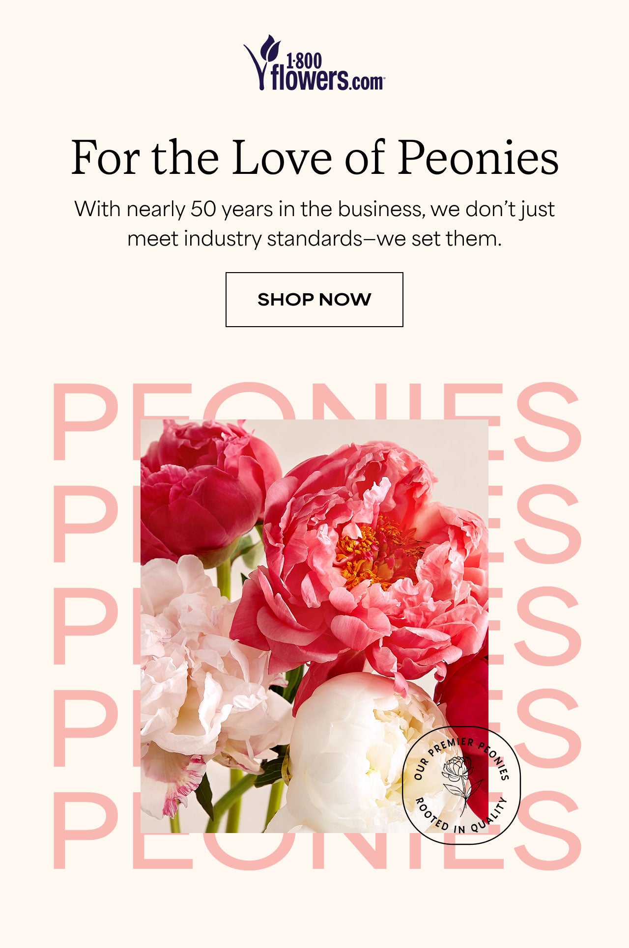 For the love of Peonies | Shop Now