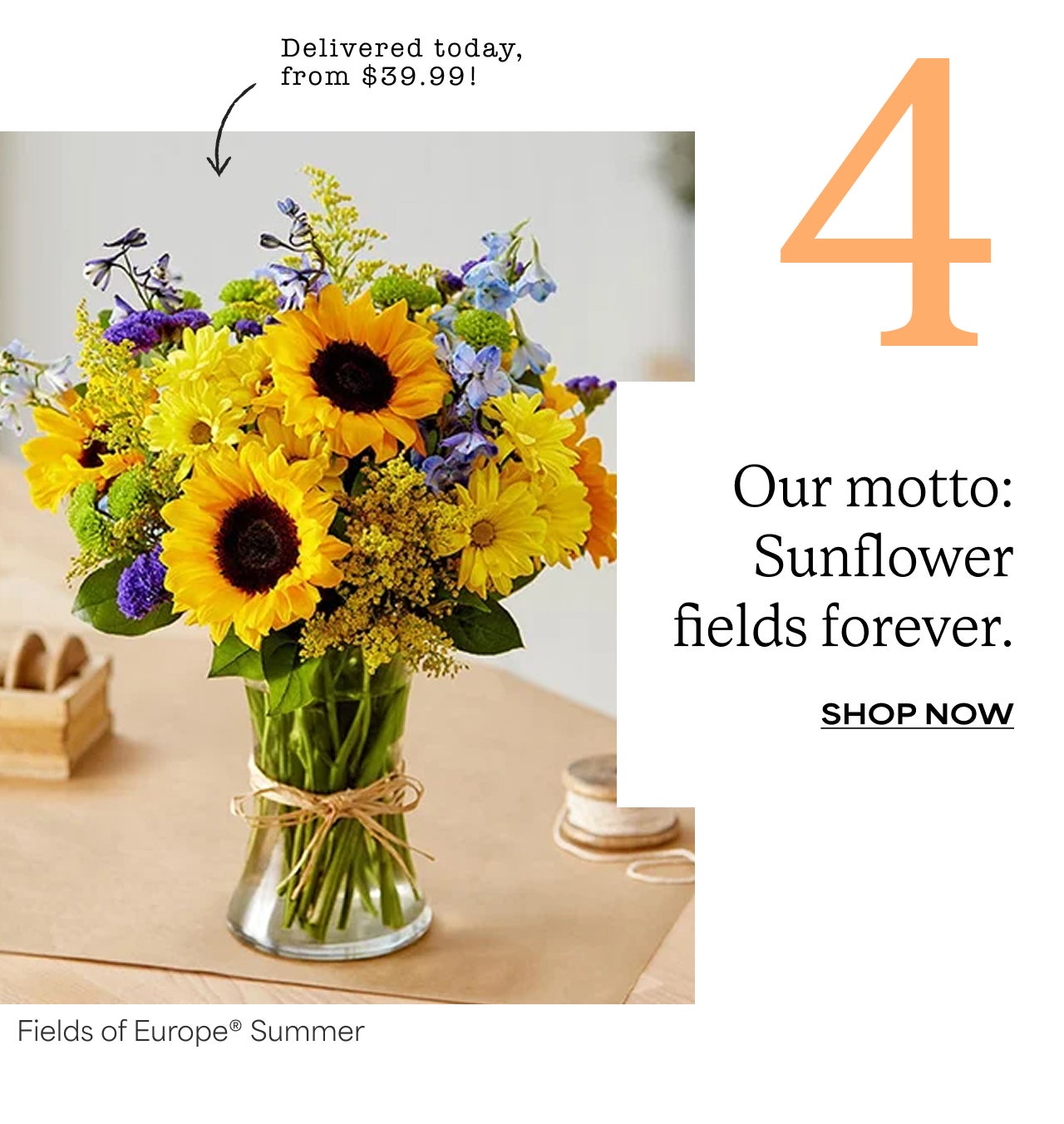 Four | Our motto: Sunflower fields forever. | Shop Fields of Europe Summer