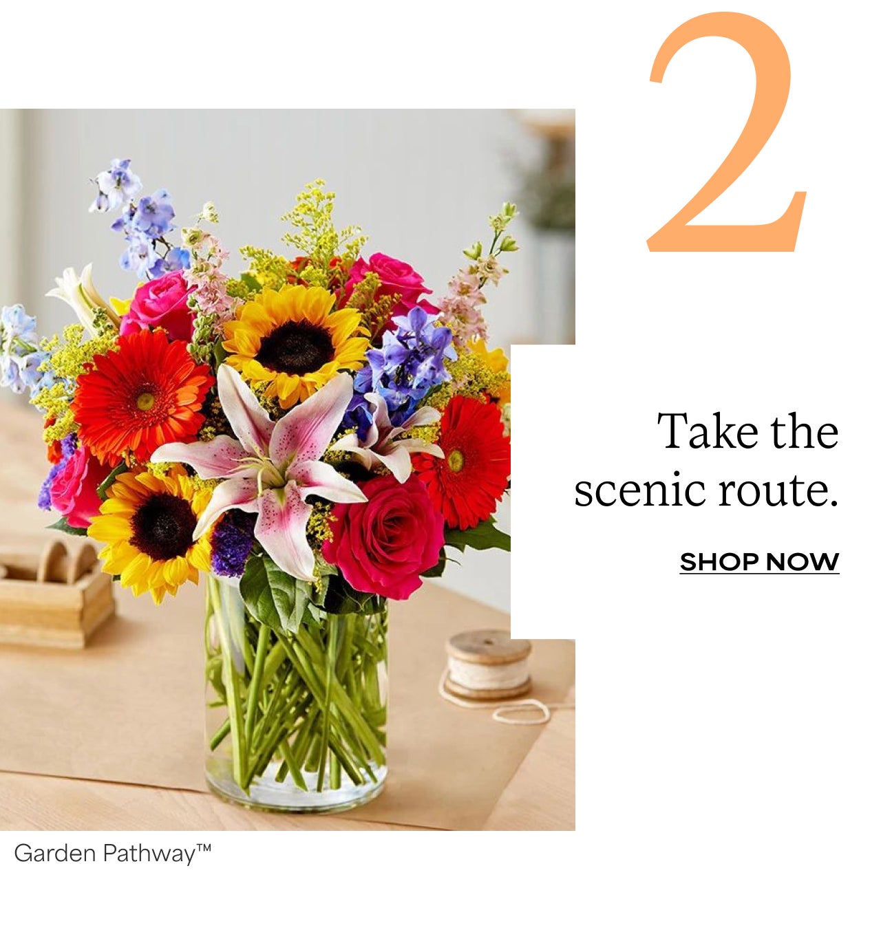 Two | Take a scenic route | Shop Garden Pathway