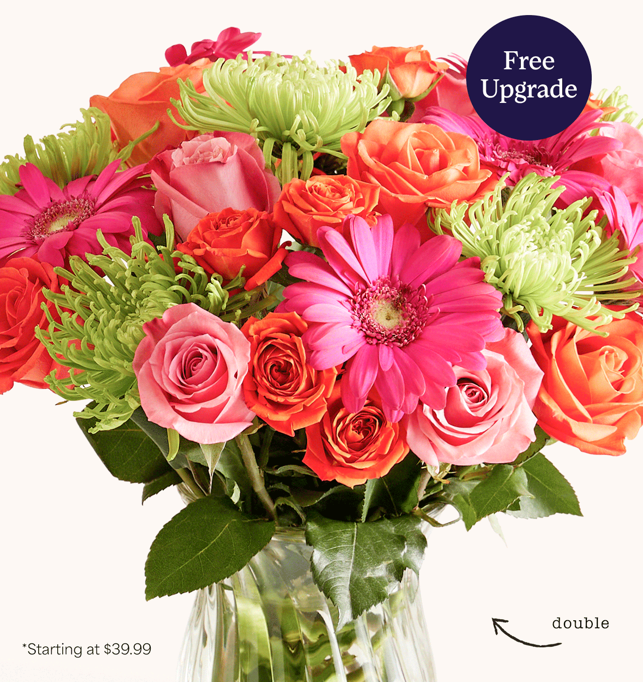Free Upgrade | Starting at $39.99 | Shop Now