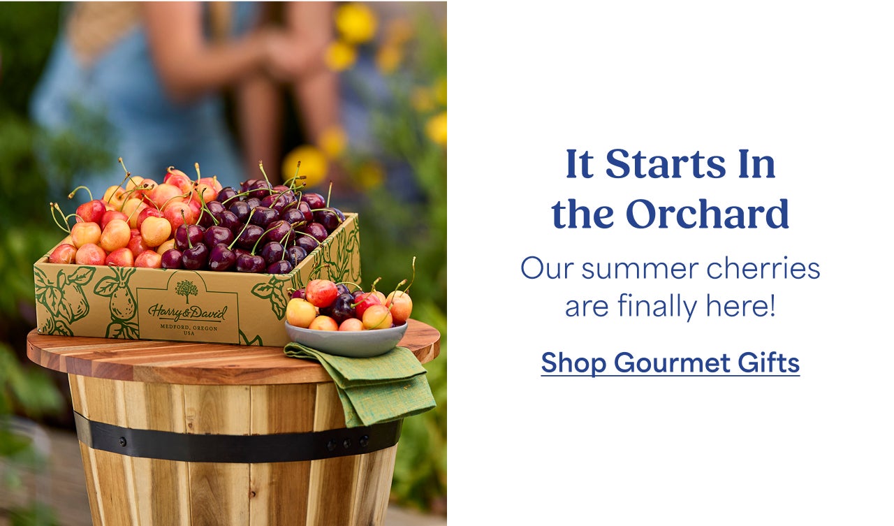 It Starts In the Orchard