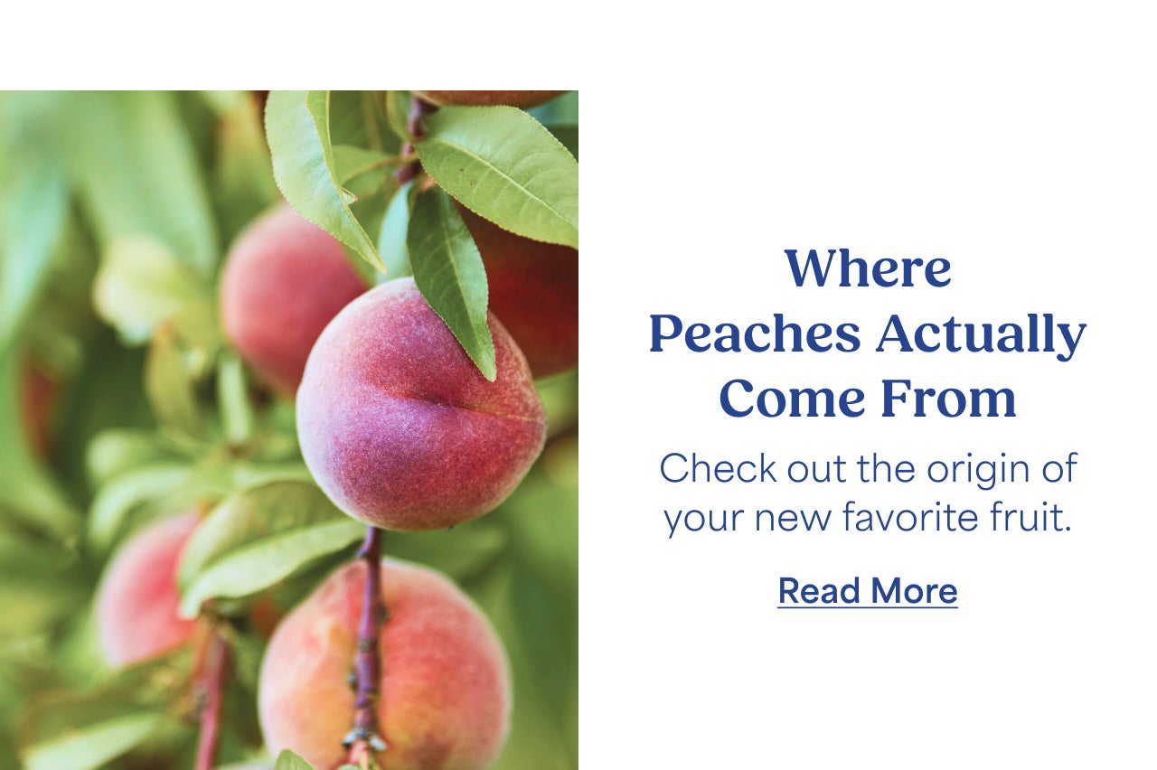 Where peaches come from
