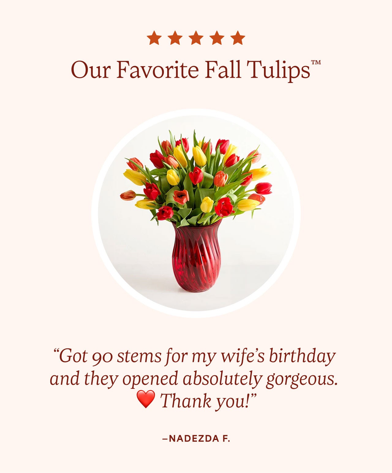Our Favorite Fall Tulips™ | “Got 90 stems for my wife’s birthday and they opened absolutely gorgeous.&nbsp;❤️&nbsp;Thank you!”—Nadezda F.