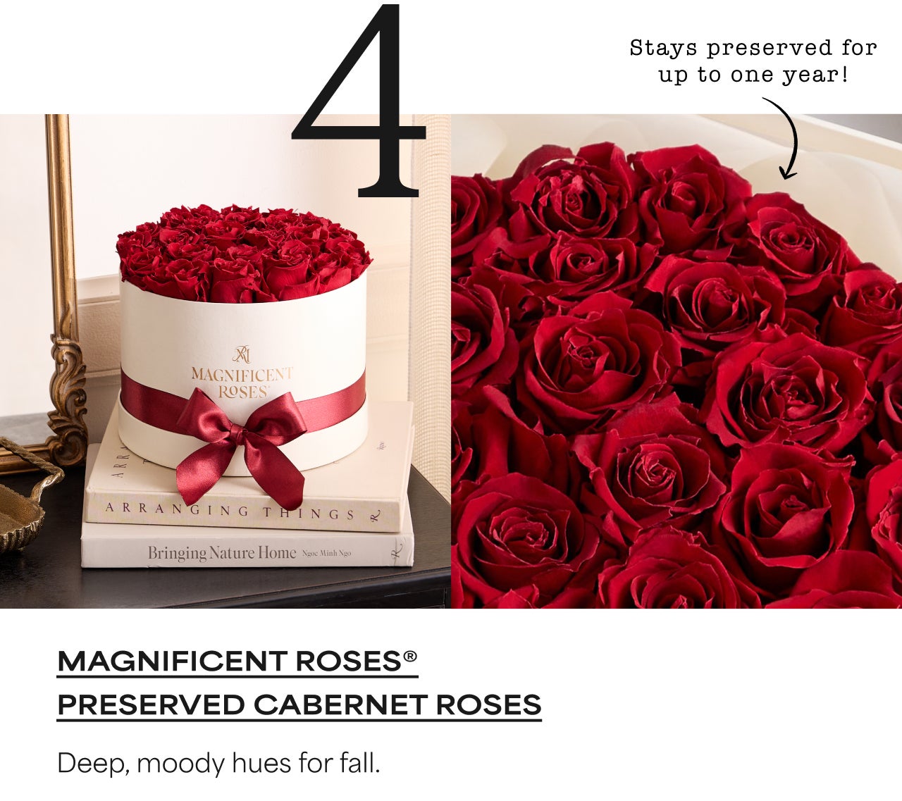 4 | Magnificent Roses Persevered Cabernet Roses | Deep, moody hues for fall.