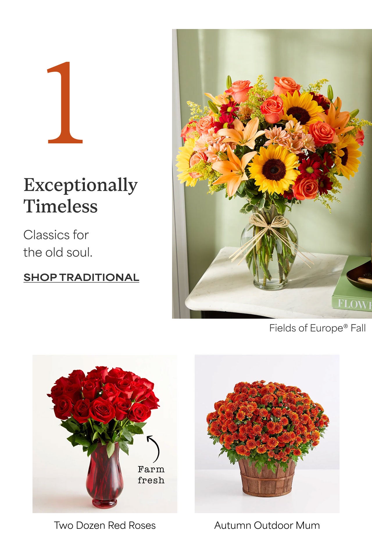1 | Exceptionally Timeless | Classic for the old soul. | Shop Traditional