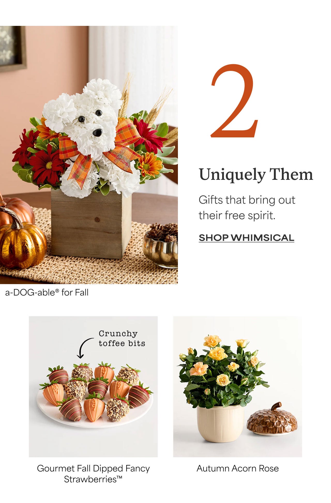 2 | Uniquely Them | Gifts that bring out their free spirit | Shop Whimsical