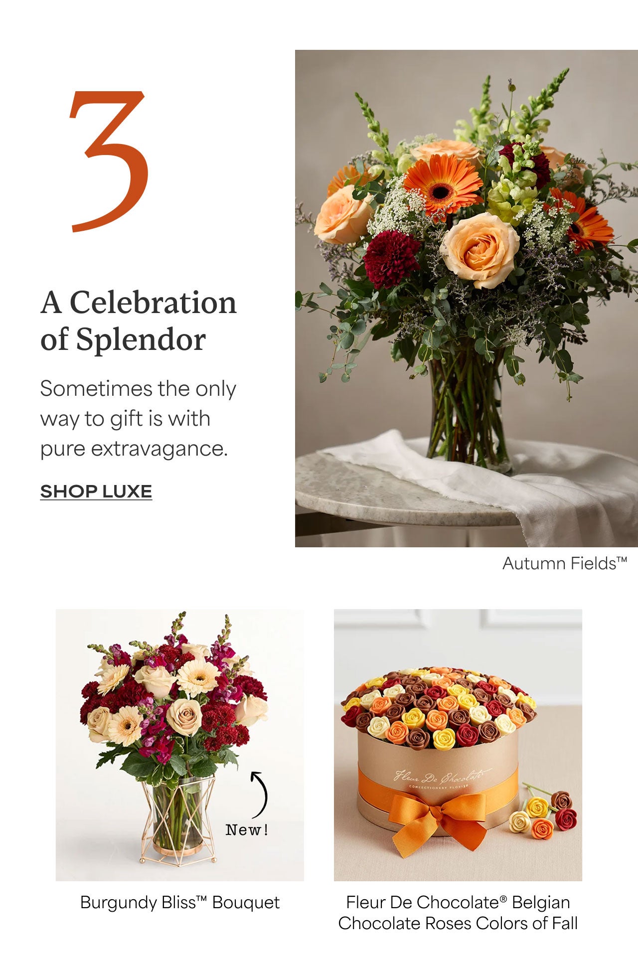3 | A Celebration of Splendor | Sometimes the only way to gift is with pure extravagance. | Shop Luxe