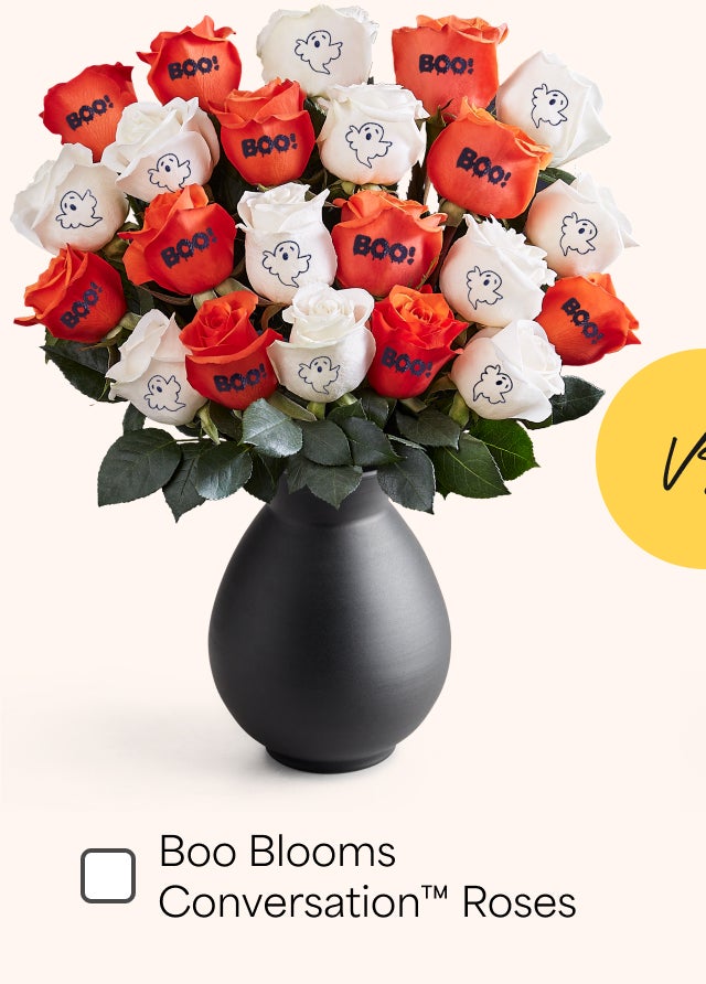 Boo Blooms Conversation™ Roses