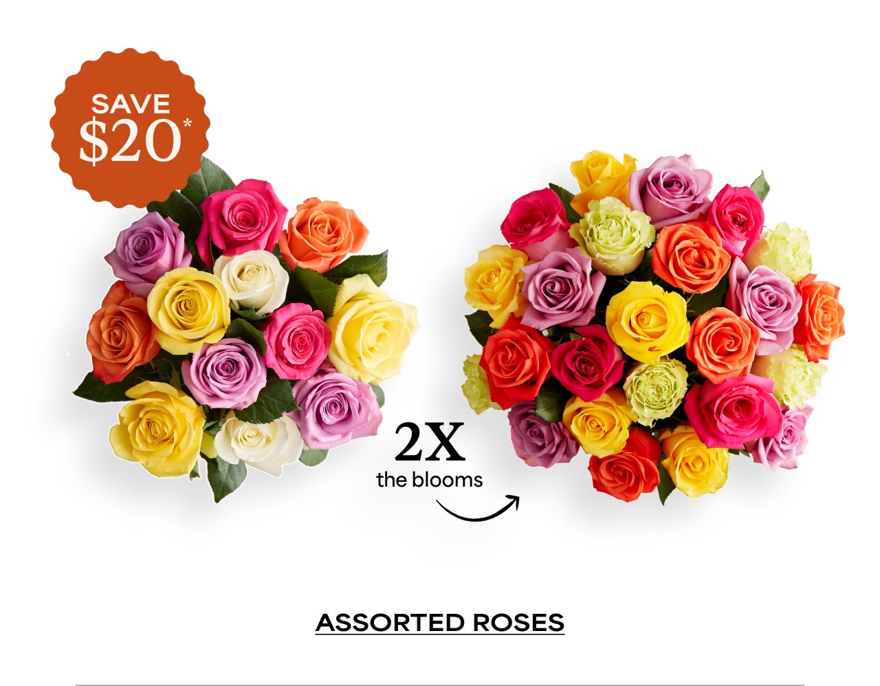 Assorted Roses Assorted Roses