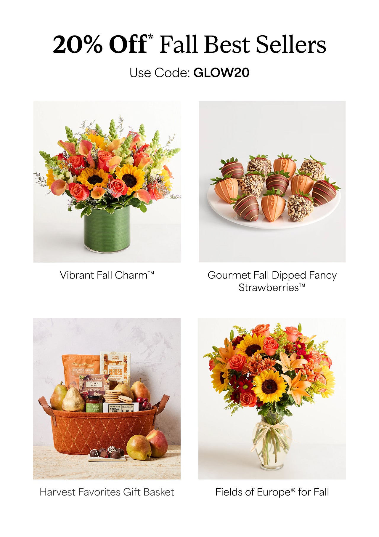 20% Off Fall Best Sellers | Use code BLOOM20 