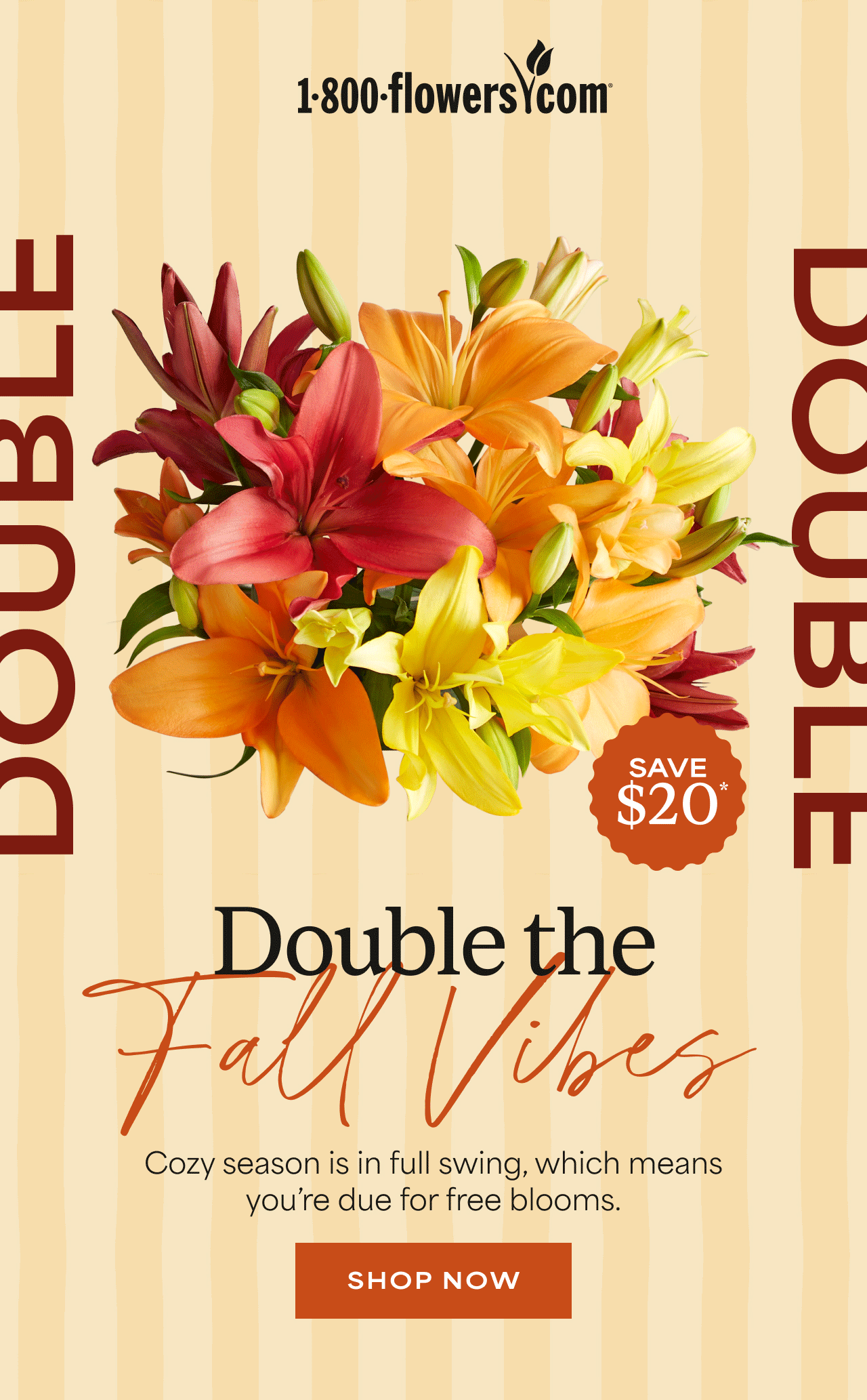 Double the Fall Vibes | Cozy season is in full swing, which means you're due for free blooms.