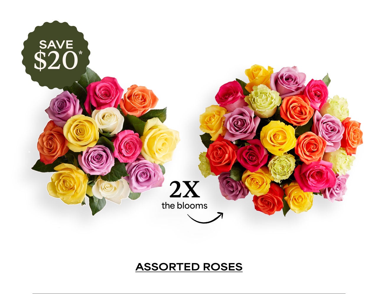 Assorted Roses