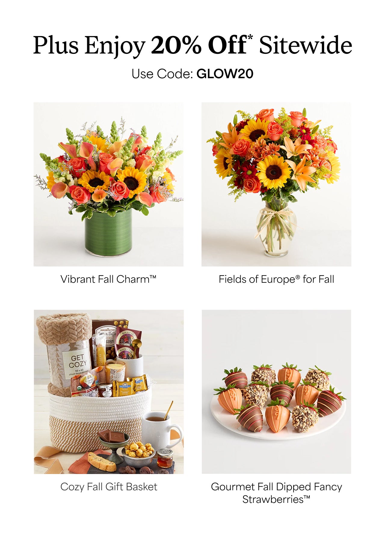 20% Off Fall Best Sellers | Use code BLOOM20 