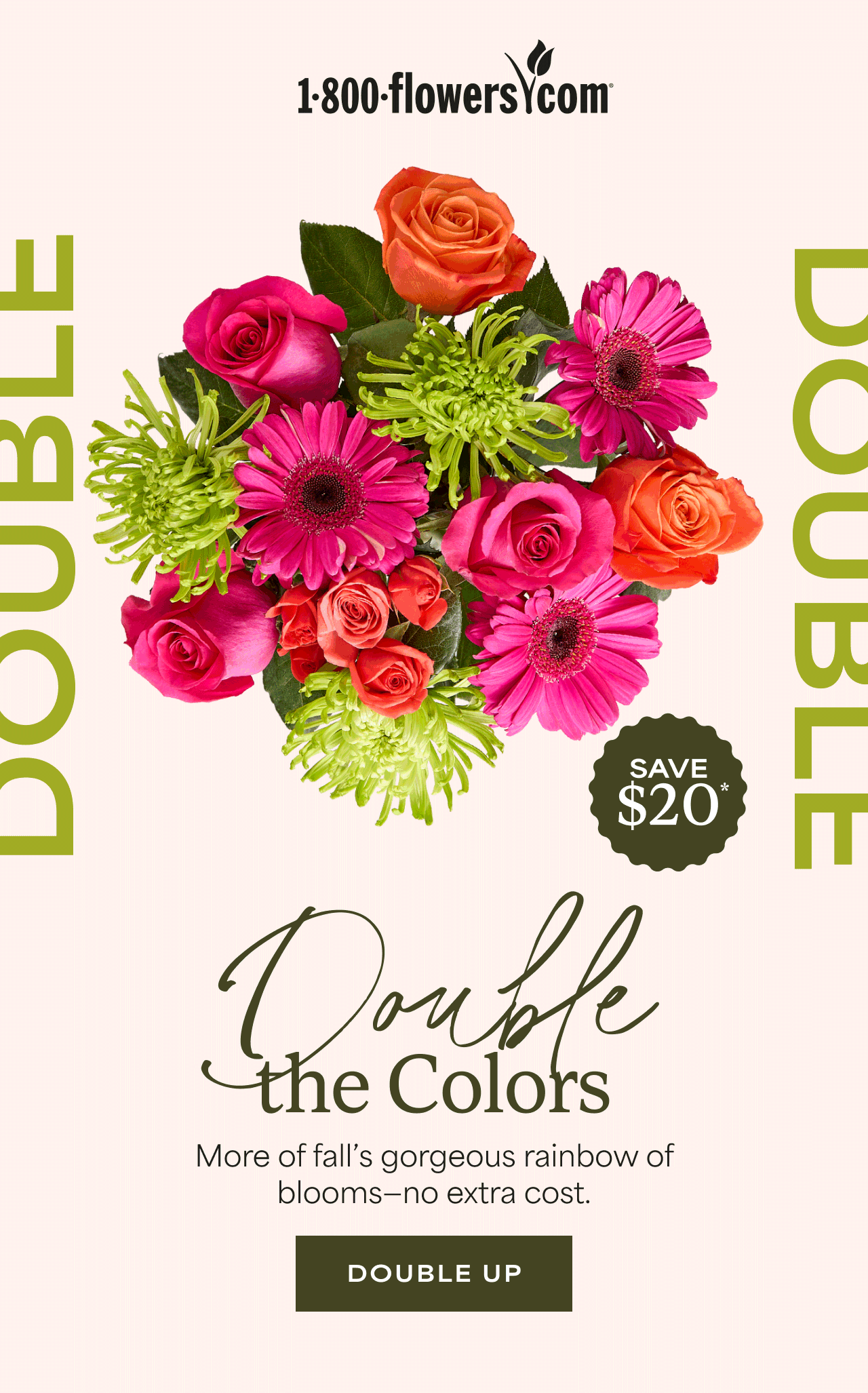 Double the Colors | More of fall's gorgeous rainbow of blooms - no extra cost