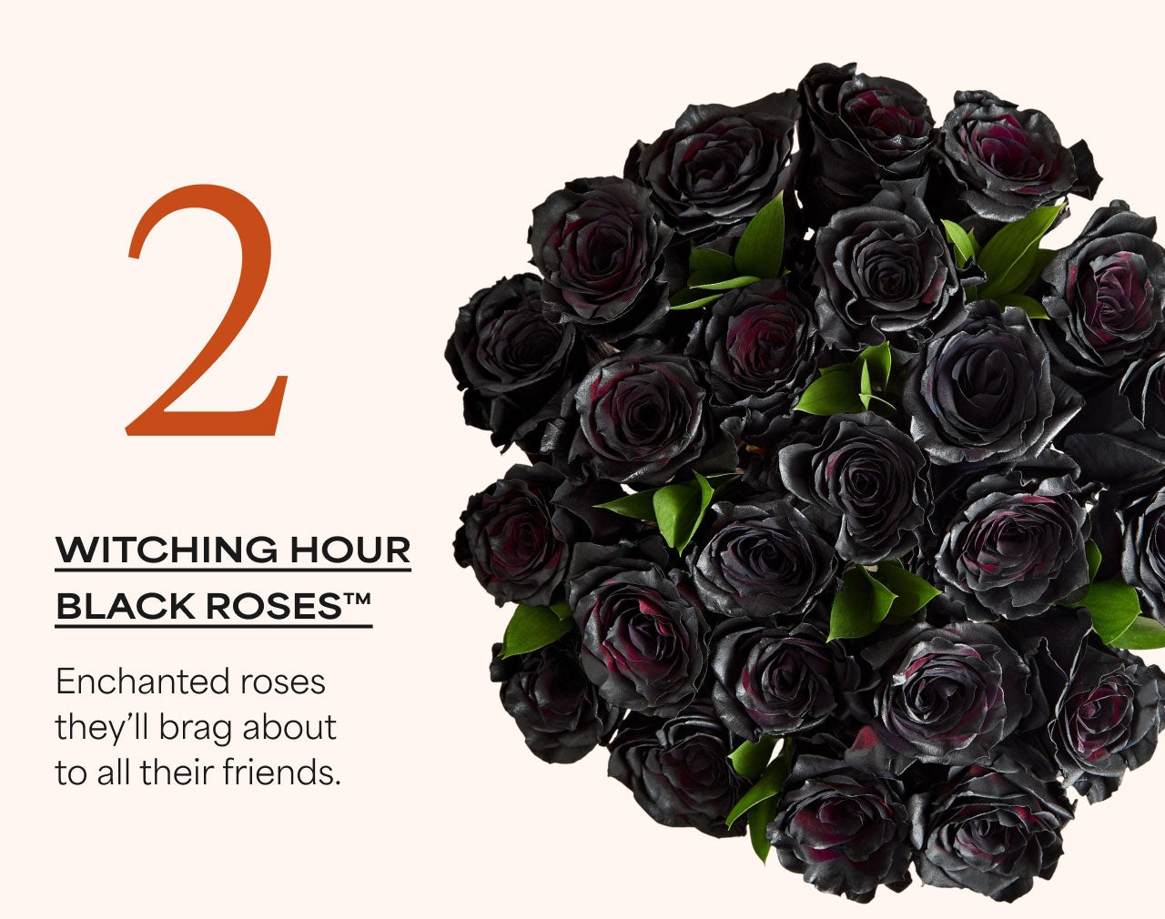 Witching Hour Black Roses™